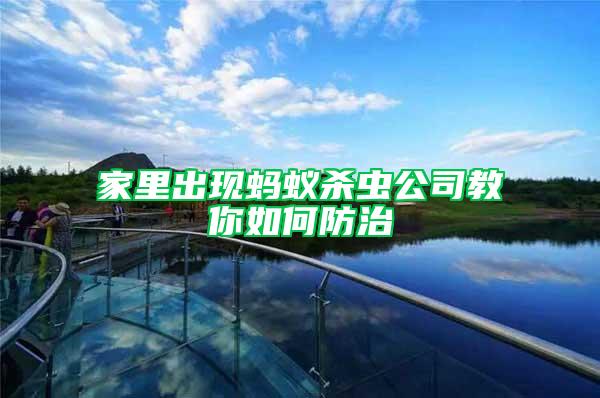 家里出現螞蟻殺蟲公司教你如何防治