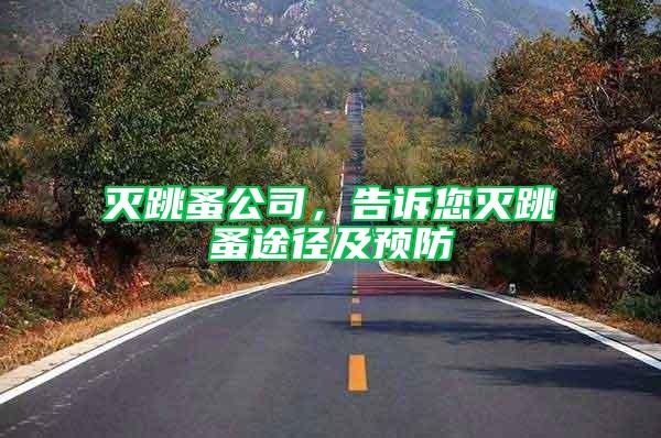 滅跳蚤公司，告訴您滅跳蚤途徑及預防