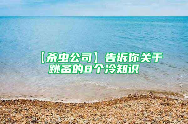【殺蟲公司】告訴你關(guān)于跳蚤的8個(gè)冷知識