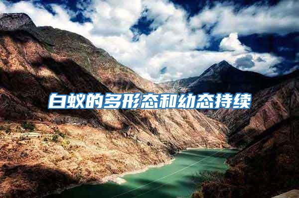 白蟻的多形態和幼態持續