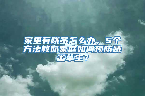 家里有跳蚤怎么辦，5個方法教你家庭如何預防跳蚤孳生？