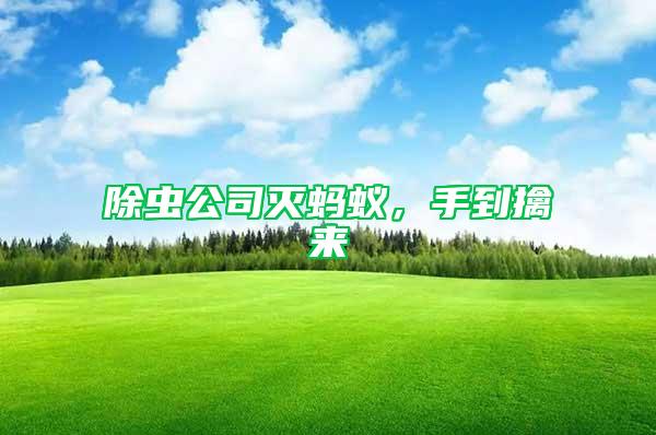 除蟲公司滅螞蟻，手到擒來