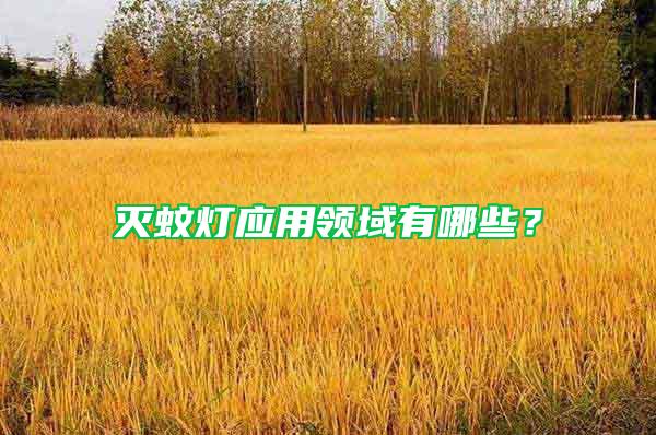 滅蚊燈應(yīng)用領(lǐng)域有哪些？