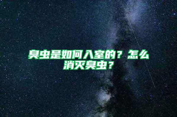 臭蟲是如何入室的？怎么消滅臭蟲？
