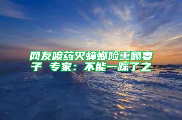 網(wǎng)友噴藥滅蟑螂險(xiǎn)熏翻妻子 專家：不能一踩了之