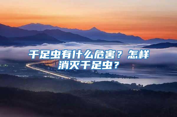 千足蟲有什么危害？怎樣消滅千足蟲？