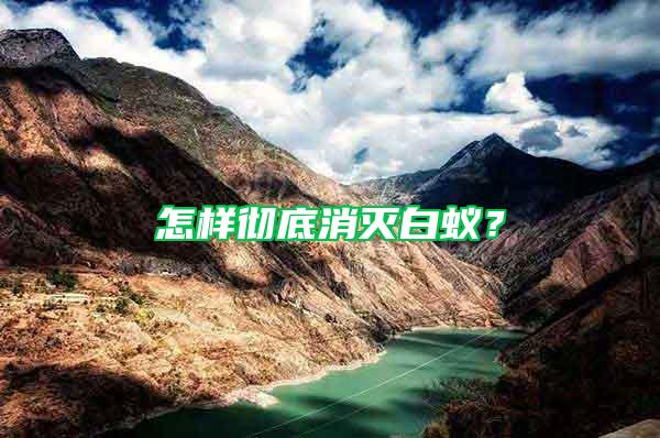 怎樣徹底消滅白蟻？
