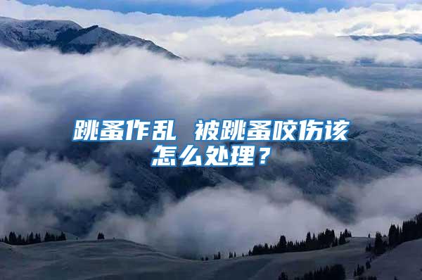 跳蚤作亂 被跳蚤咬傷該怎么處理？