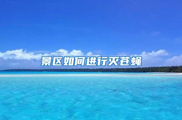 景區(qū)如何進(jìn)行滅蒼蠅