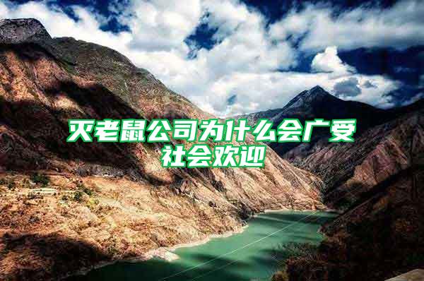滅老鼠公司為什么會廣受社會歡迎