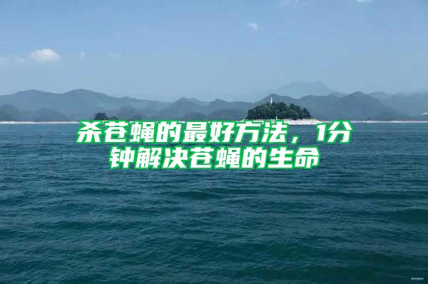 殺蒼蠅的最好方法，1分鐘解決蒼蠅的生命