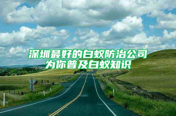 深圳最好的白蟻防治公司為你普及白蟻知識