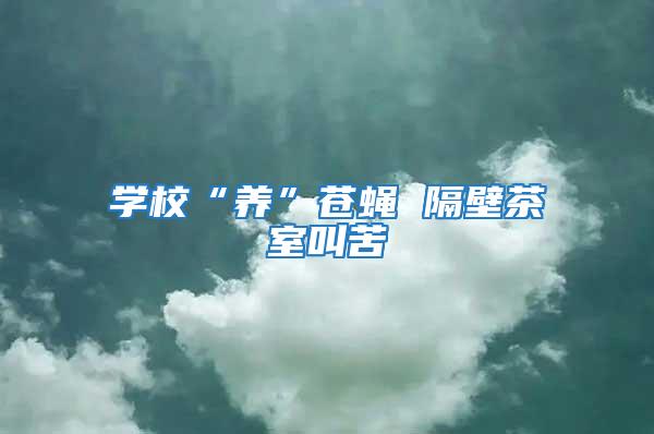 學(xué)校“養(yǎng)”蒼蠅 隔壁茶室叫苦
