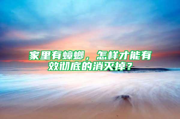 家里有蟑螂，怎樣才能有效徹底的消滅掉？