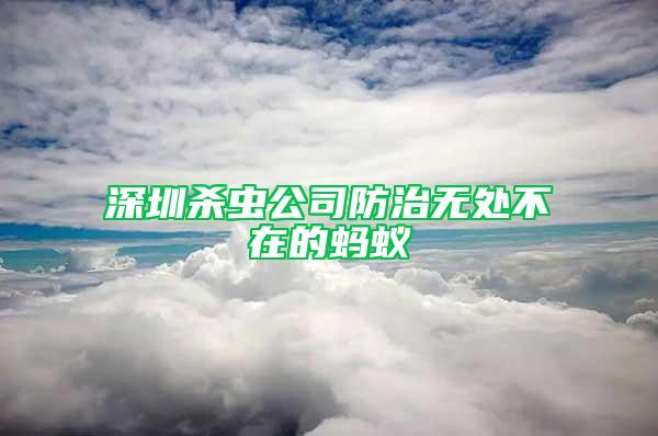 深圳殺蟲公司防治無(wú)處不在的螞蟻