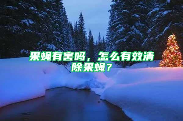 果蠅有害嗎，怎么有效清除果蠅？
