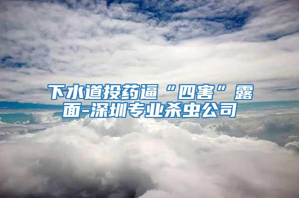 下水道投藥逼“四害”露面-深圳專業(yè)殺蟲公司