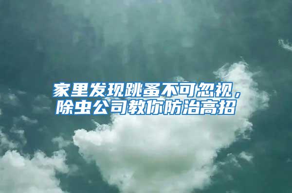 家里發(fā)現(xiàn)跳蚤不可忽視，除蟲公司教你防治高招