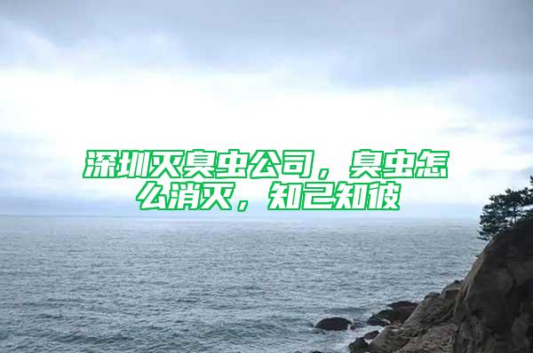 深圳滅臭蟲公司，臭蟲怎么消滅，知己知彼