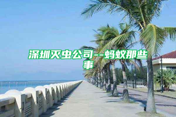 深圳滅蟲(chóng)公司--螞蟻那些事