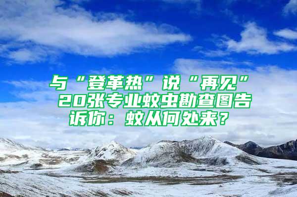 與“登革熱”說“再見” 20張專業蚊蟲勘查圖告訴你：蚊從何處來？