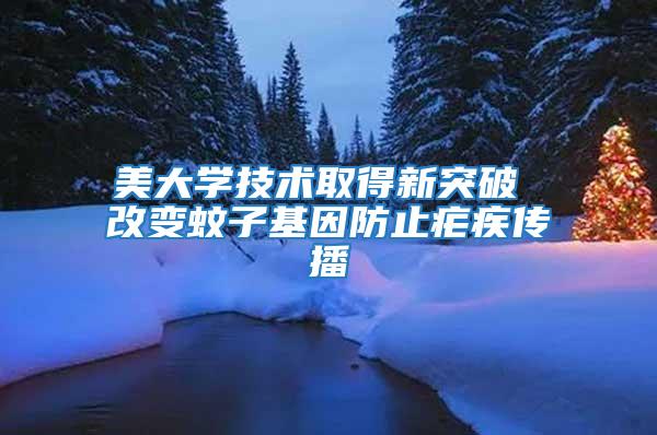 美大學技術取得新突破 改變蚊子基因防止瘧疾傳播