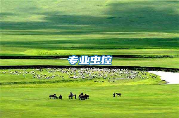 專業蟲控