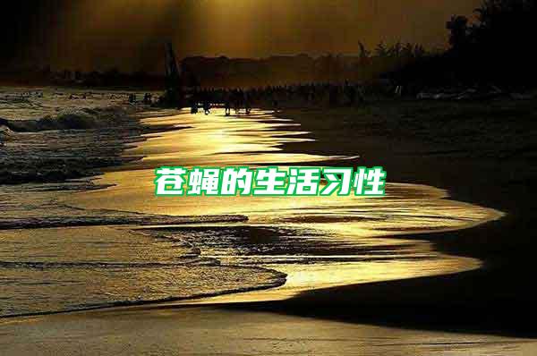 蒼蠅的生活習性