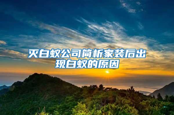 滅白蟻公司簡析家裝后出現白蟻的原因