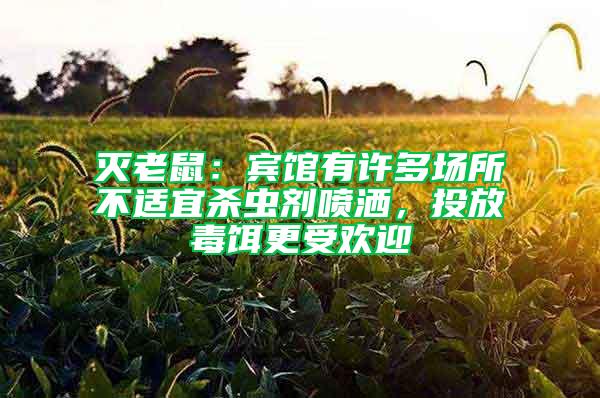 滅老鼠：賓館有許多場(chǎng)所不適宜殺蟲(chóng)劑噴灑，投放毒餌更受歡迎