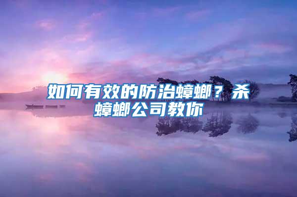 如何有效的防治蟑螂？殺蟑螂公司教你