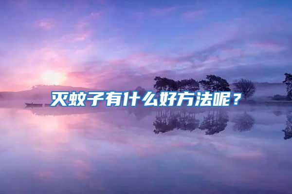 滅蚊子有什么好方法呢？