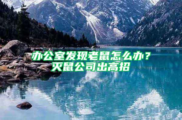 辦公室發現老鼠怎么辦？滅鼠公司出高招
