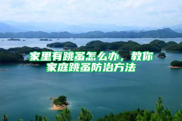家里有跳蚤怎么辦，教你家庭跳蚤防治方法