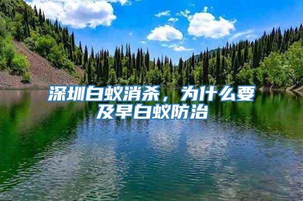 深圳白蟻消殺，為什么要及早白蟻防治