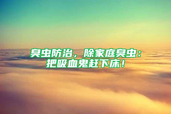 臭蟲防治，除家庭臭蟲：把吸血鬼趕下床！