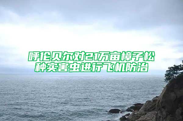呼倫貝爾對21萬畝樟子松種實害蟲進行飛機防治