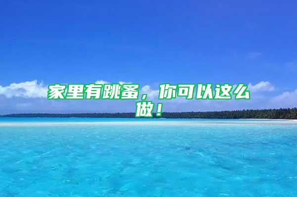 家里有跳蚤，你可以這么做！