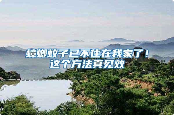 蟑螂蚊子已不住在我家了！這個方法真見效