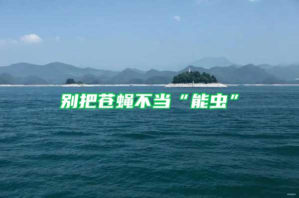 別把蒼蠅不當“能蟲”