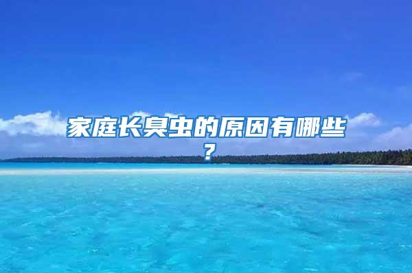 家庭長臭蟲的原因有哪些？