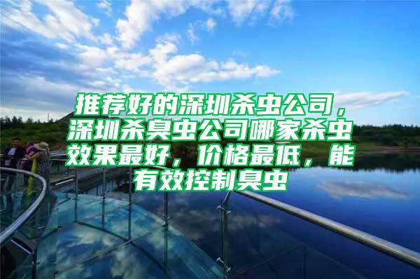 推薦好的深圳殺蟲公司，深圳殺臭蟲公司哪家殺蟲效果最好，價格最低，能有效控制臭蟲