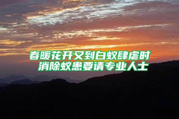 春暖花開又到白蟻肆虐時 消除蟻患要請專業人士