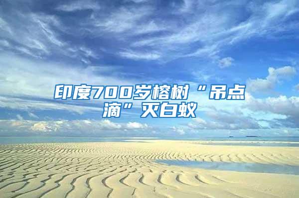 印度700歲榕樹“吊點滴”滅白蟻
