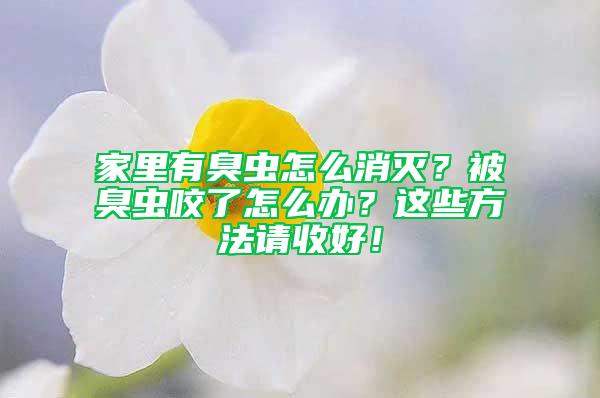家里有臭蟲怎么消滅？被臭蟲咬了怎么辦？這些方法請收好！