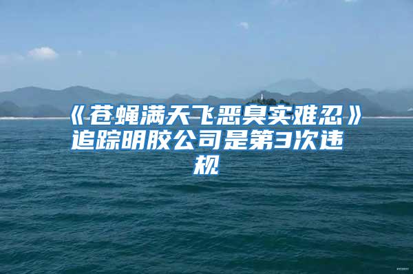 《蒼蠅滿天飛惡臭實難忍》追蹤明膠公司是第3次違規