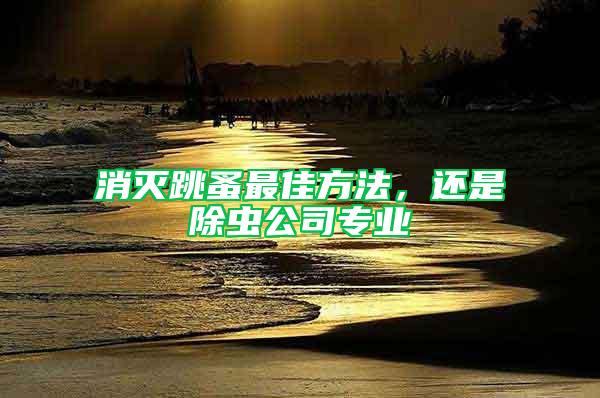 消滅跳蚤最佳方法，還是除蟲公司專業(yè)