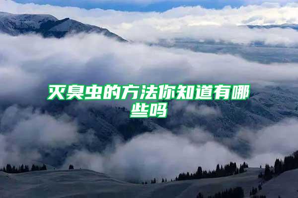 滅臭蟲的方法你知道有哪些嗎