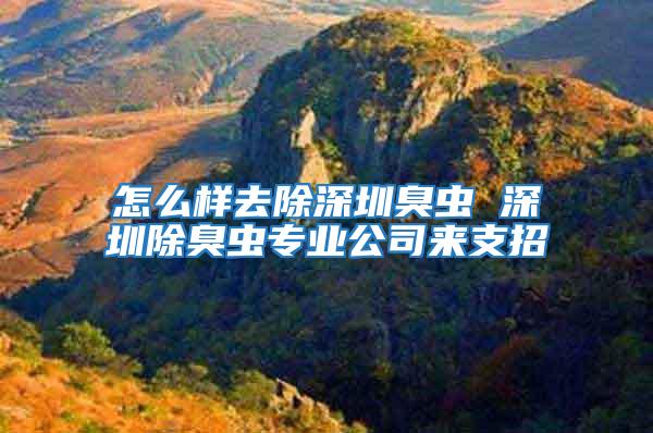 怎么樣去除深圳臭蟲(chóng) 深圳除臭蟲(chóng)專(zhuān)業(yè)公司來(lái)支招