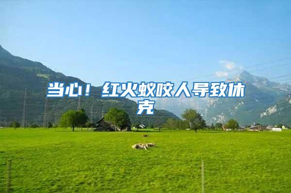 當心！紅火蟻咬人導致休克